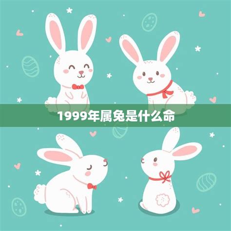 1999年五行|1999年属兔是什么命 1999年属兔人一生命运